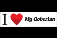 Bumper Sticker